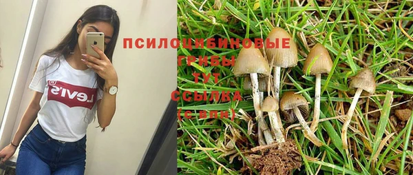 ГАЛЛЮЦИНОГЕННЫЕ ГРИБЫ Абдулино