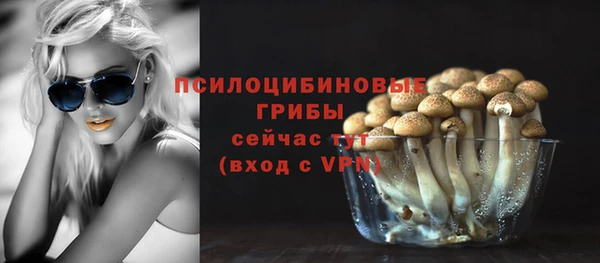 ГАЛЛЮЦИНОГЕННЫЕ ГРИБЫ Абдулино