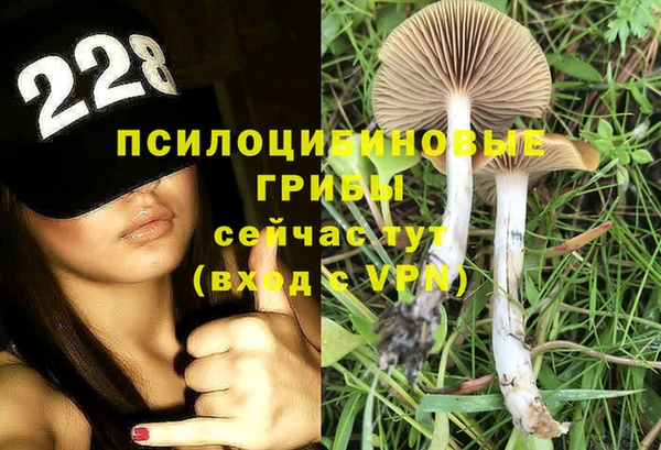 крисы Алексин